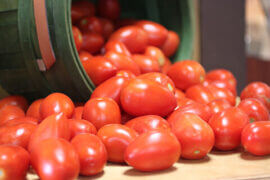 Fresh Tomatoes